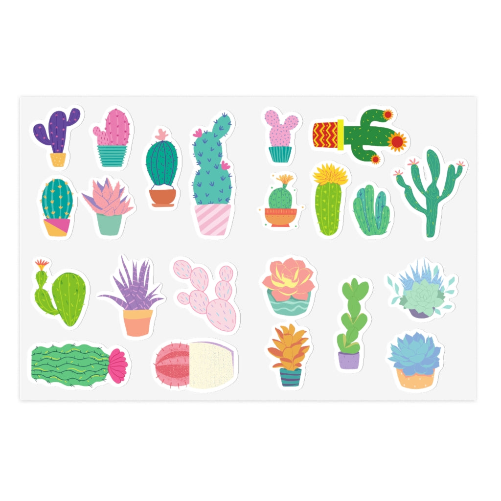 Cacti & Succulents